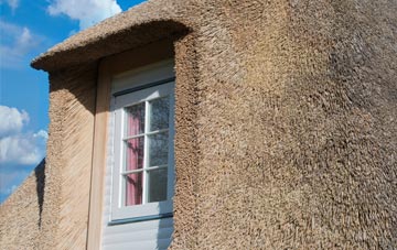 Shernal Green thatch roof disadvantages